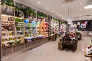 The Body Shop launches mobile-first ecommerce platform